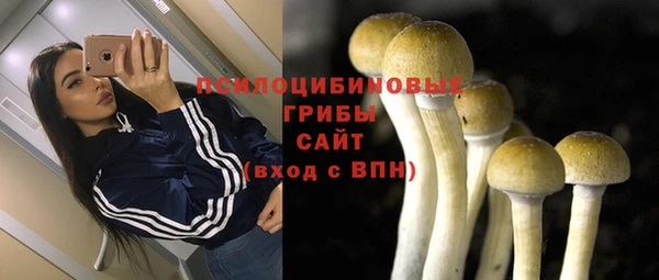 скорость Алексин