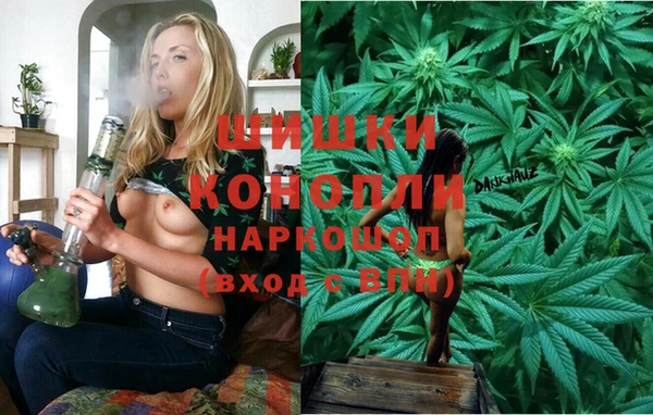PSILOCYBIN Алзамай