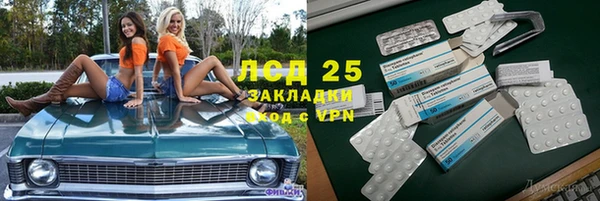 PSILOCYBIN Алзамай