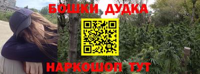 дмт Нальчик