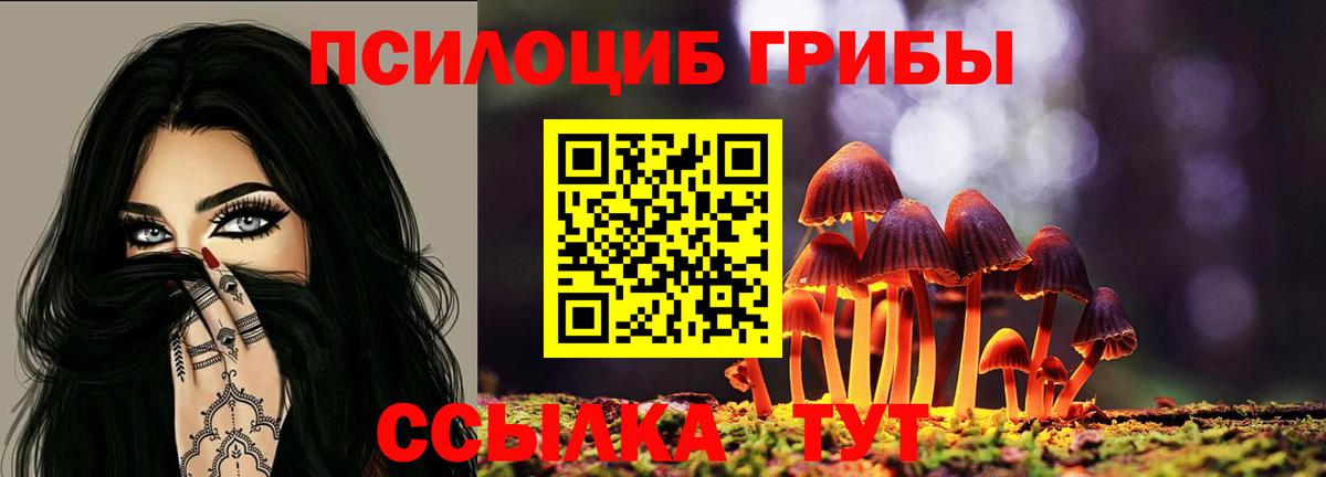 Черкесск  Псилоцибиновые грибы мицелий  Псилоцибиновые грибы Psilocybe  Вход с VPN 