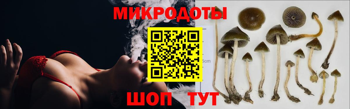 Псилоцибиновые грибы MAGIC MUSHROOMS Черкесск